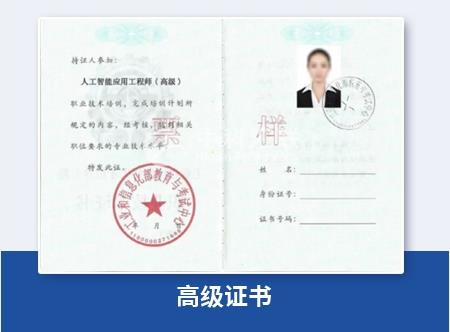 人工智能應(yīng)用工程師（高級(jí)）：